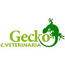 Gecko Clínica Veterinaria
